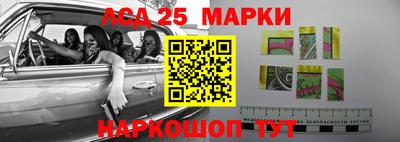 гашик Можга