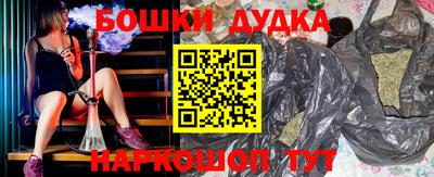 гашик Можга