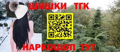 гашик Можга