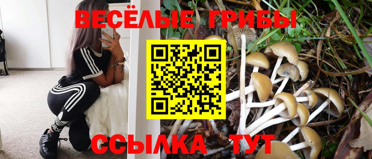Галлюциногенные грибы MAGIC MUSHROOMS  купить наркотики цена  Соль-Илецк  Вход с VPN 