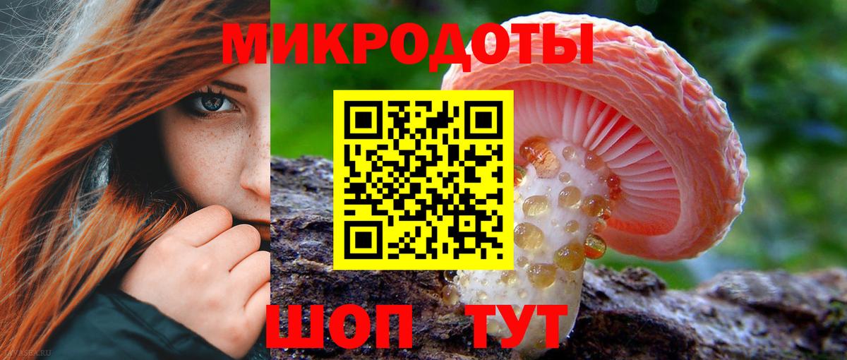 Галлюциногенные грибы прущие грибы Соль-Илецк